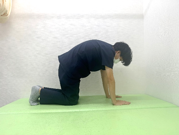 セルフエクササイズ⑦キャット&ドッグ