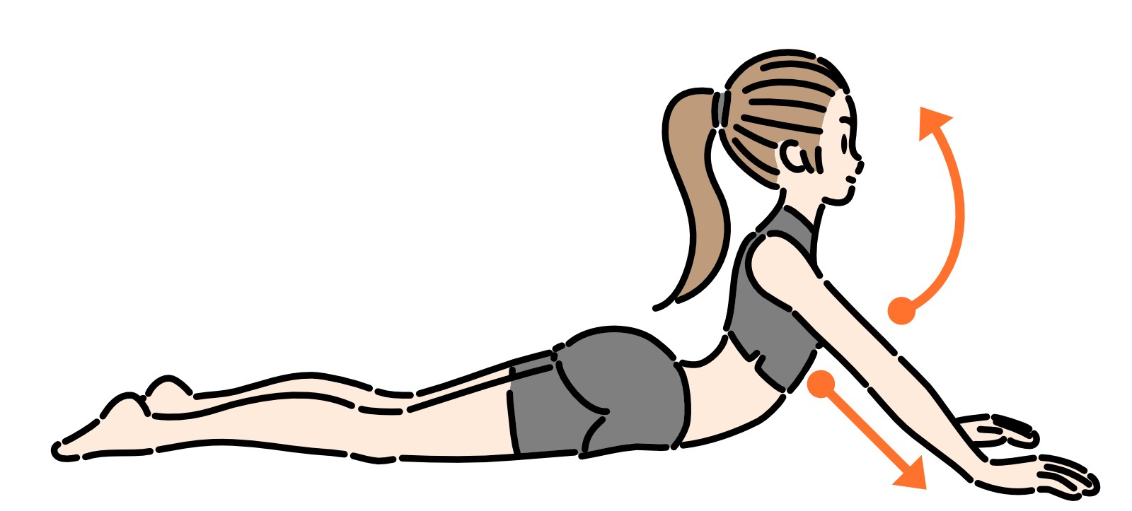 プローンプレスアップ／スワン