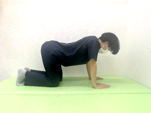 セルフエクササイズ⑦キャット&ドッグ