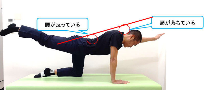 腰痛改善 ピラティスメソッド 第5弾【クアドロペッド】｜北戸田